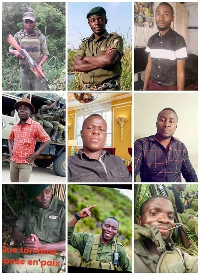 12 guardaparques protectores de gorilas fueron masacrados.