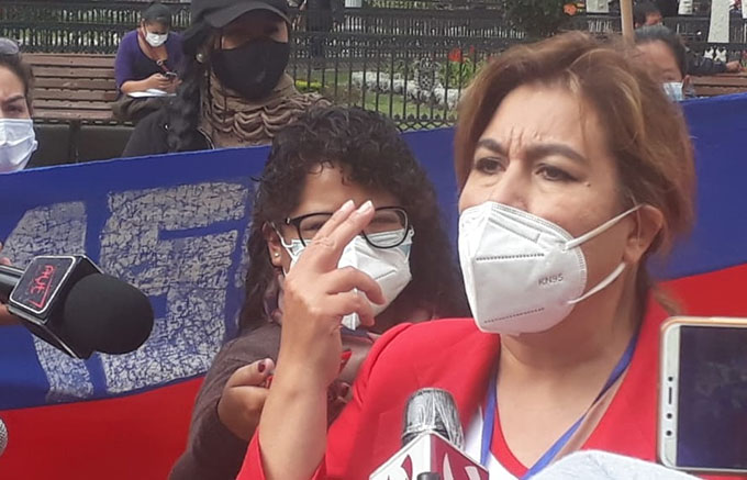 María de la Cruz Bayá dice que irá sola a las elecciones y critica a ADN
