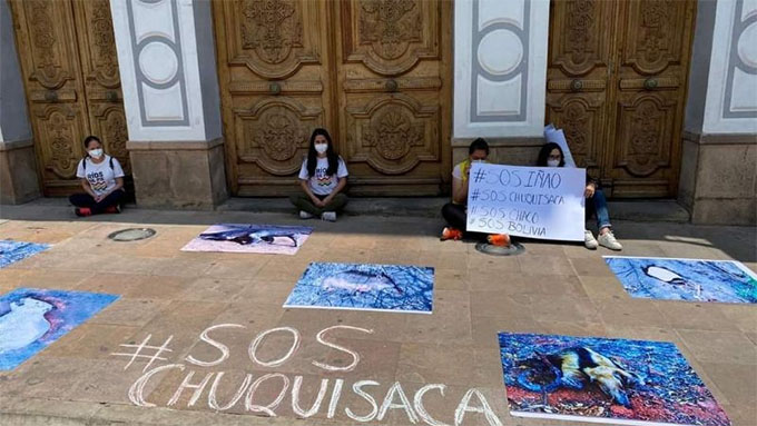 La pérdida de hábitat de las especies preocupa a jóvenes bolivianos