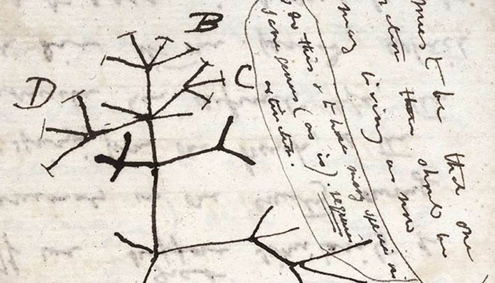 Universidad de Cambridge denuncia robo de cuadernos de Charles Darwin