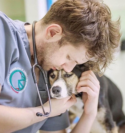 Joven veterinario viaja desde su país para curar y llevarse a los animales lesionados de Ucrania
