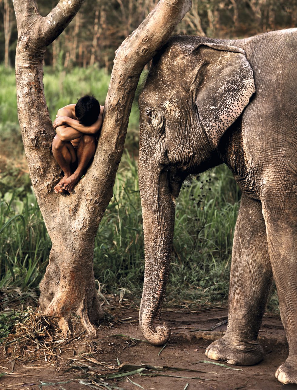 Un chico acurrucado en un árbol —¿dormido?, ¿triste?— y un elefante a su lado que parece estar dándole cariño. Chiang Mai, Tailandia, 2010.