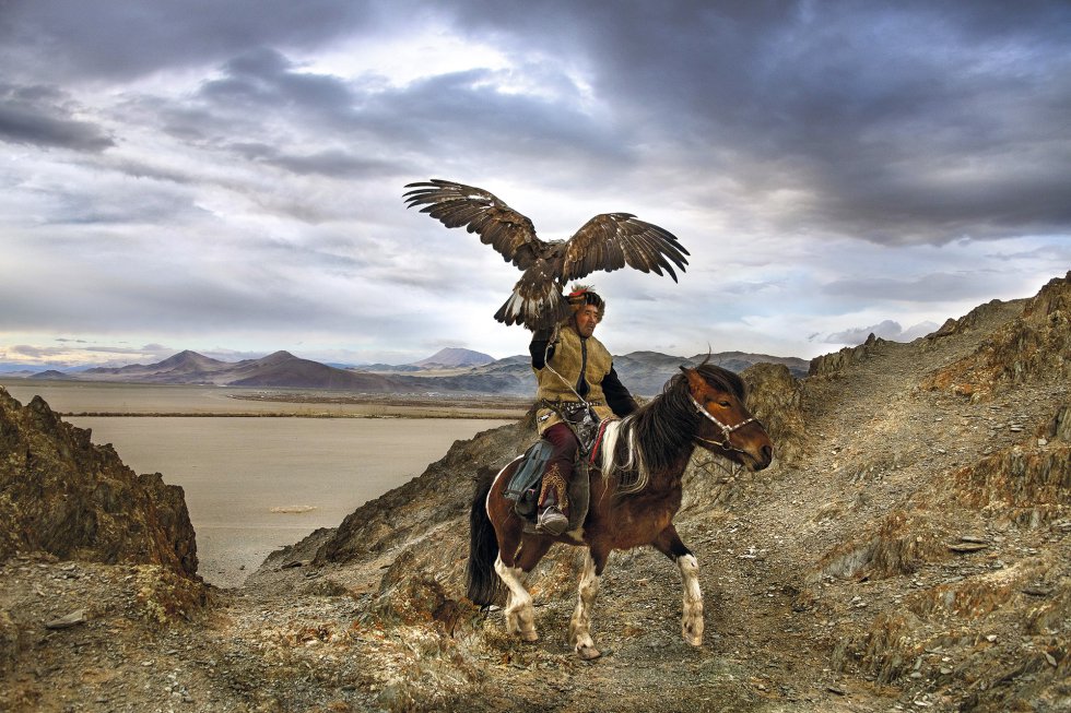 Un hombre trota a caballo en Mongolia con un ave rapaz en su mano (2018). Aquí, la cetrería es una tradición transmitida desde hace siglos en las familias.
